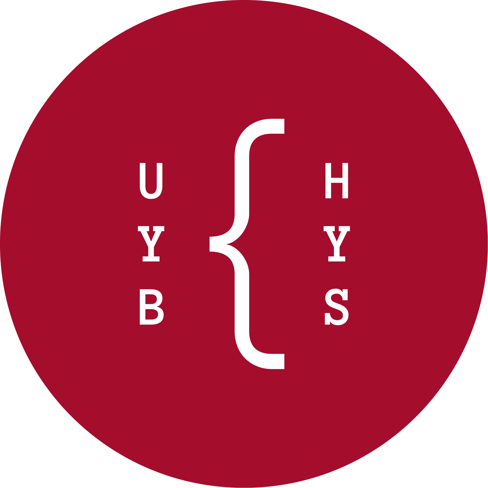 Unlock Your Brain, Harden Your System! #UYBHYS2021